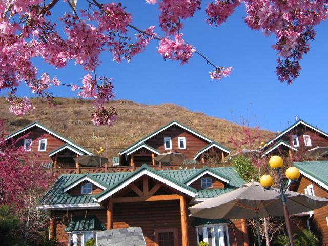 清境豐田桂林山莊民宿 Renai Exterior foto